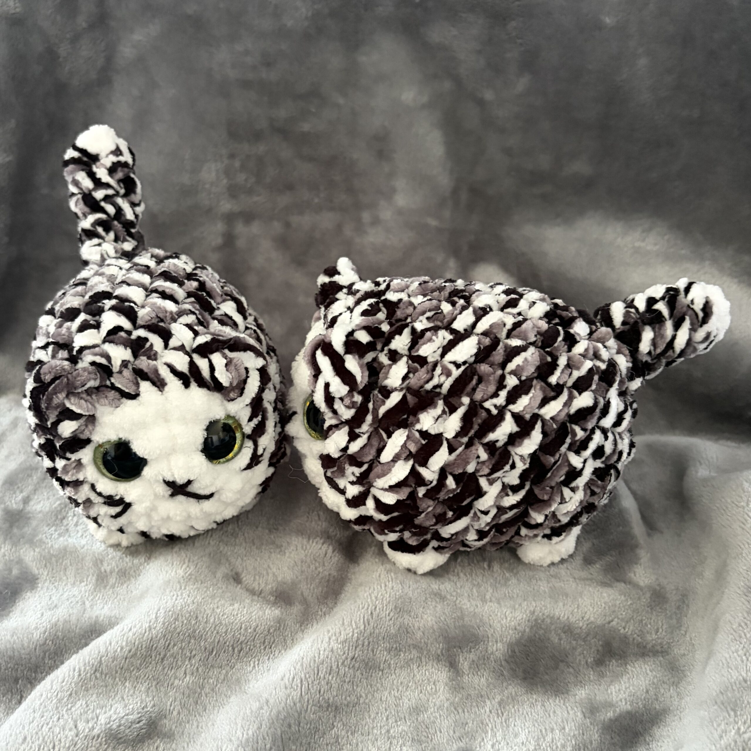 Loaf Kitten - Image 8