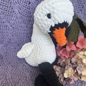 Swan