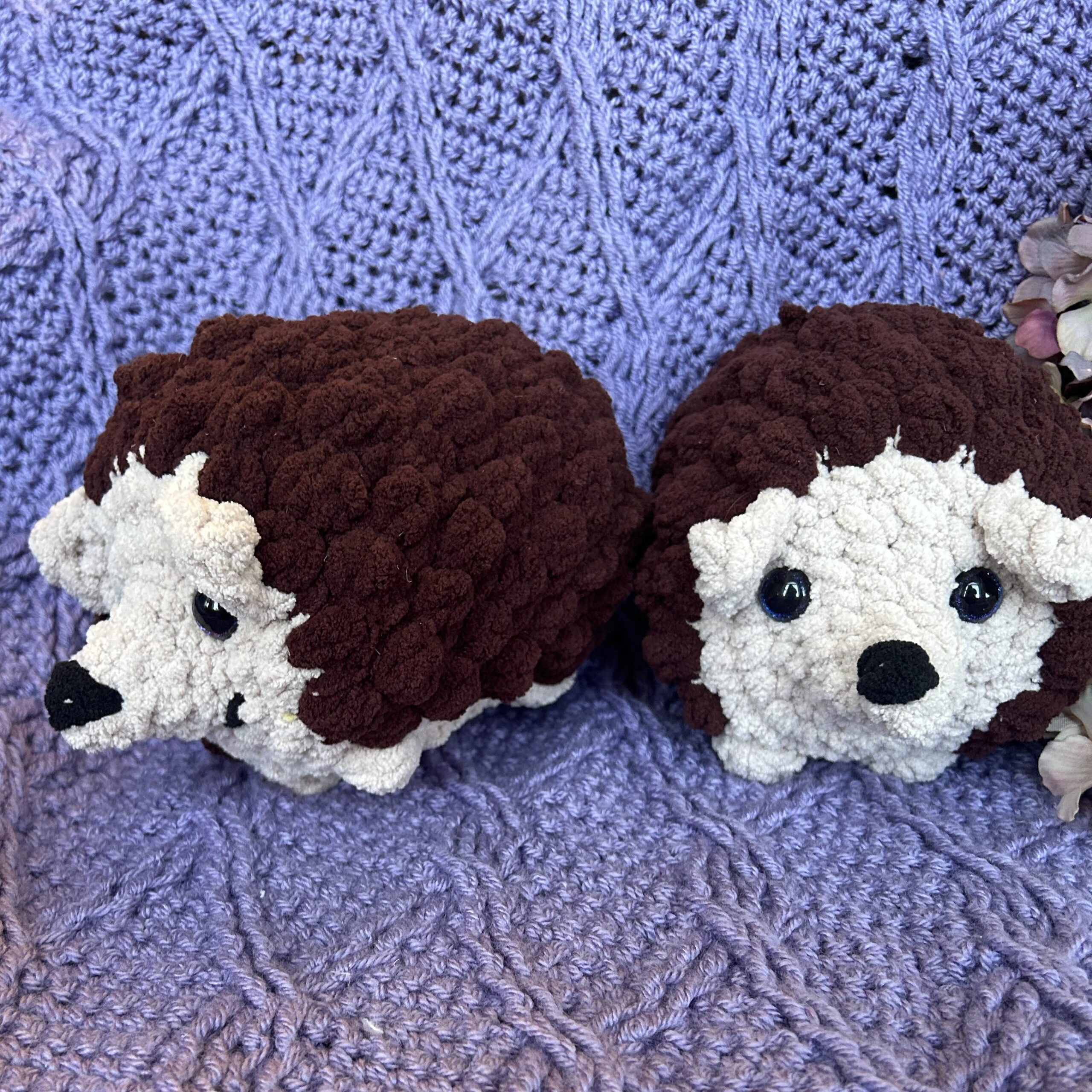 Hayes Hedgehog