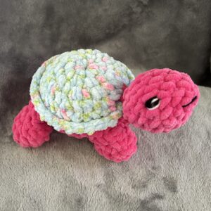 Sprout the Turtle